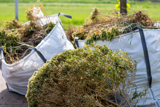 Attic Cleanout Services